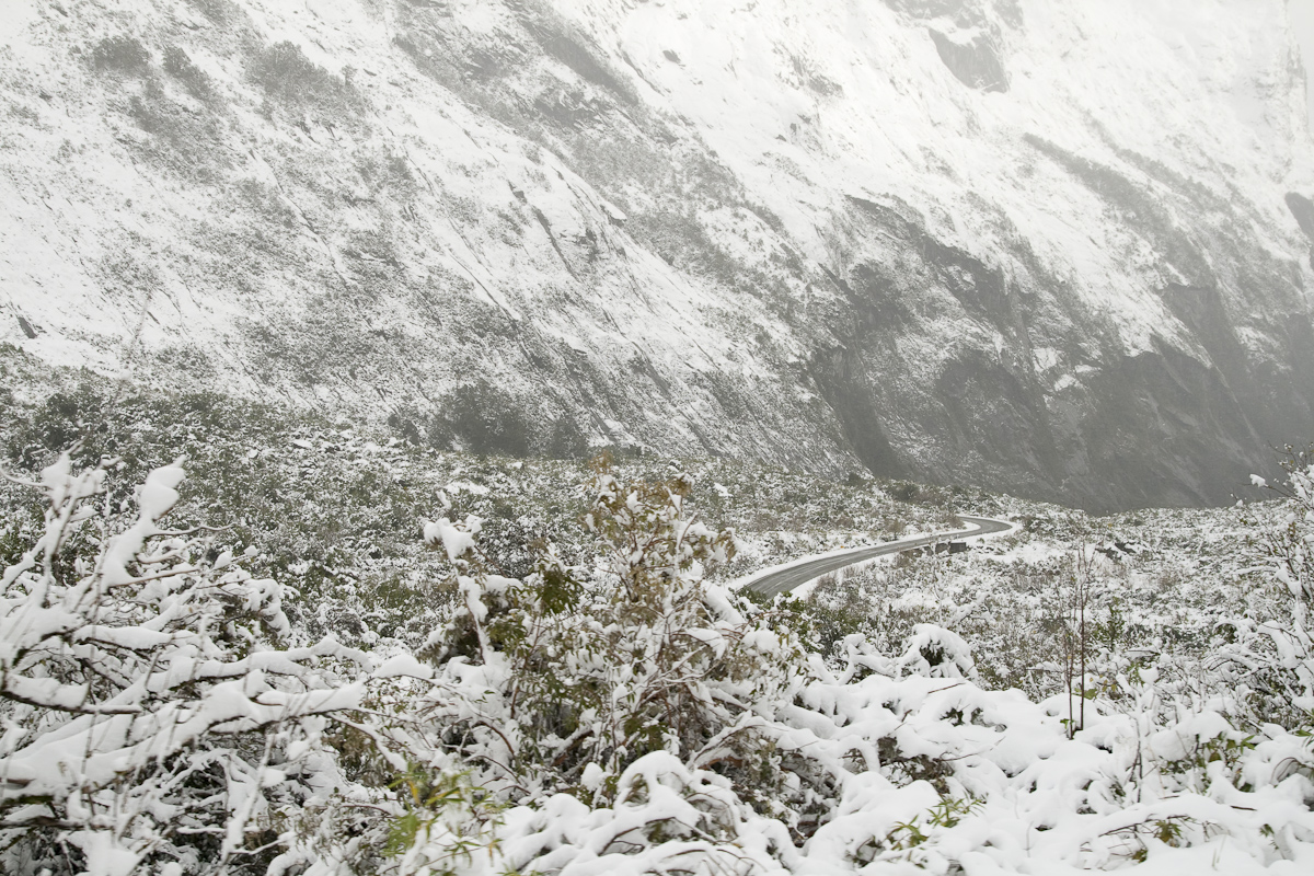 Milford Drive, arguably the best alpine road in the world