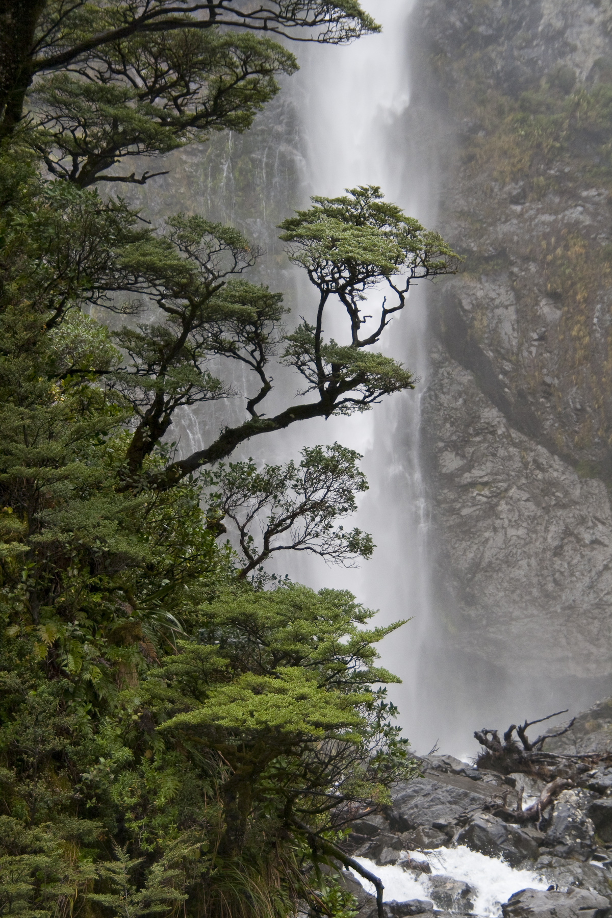 Devil's Punch Bowl, Arthur's Pass