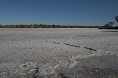 1-_MG_5206-1