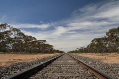 7-_MG_5319-1