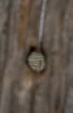 8-_MG_5378-1