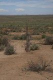 9-_MG_5380-1