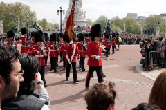 Changing of the guards buckingham palace-6381