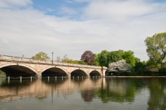 Hyde Park London-6379