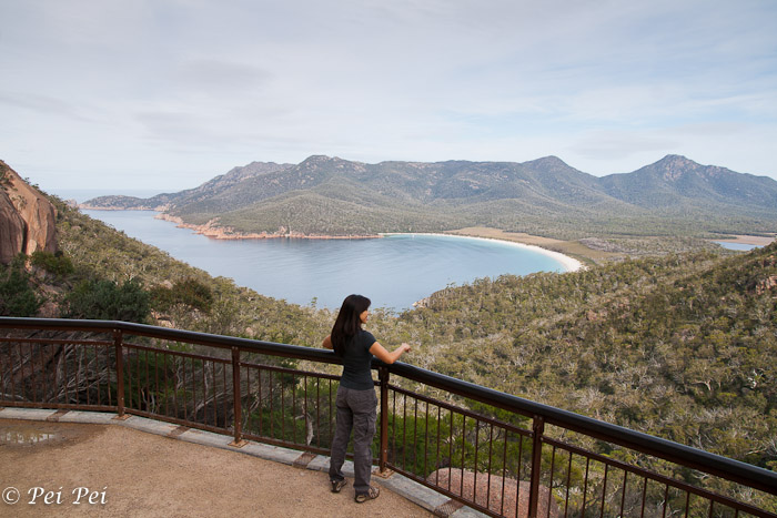 looking down at Wine Glass Bay